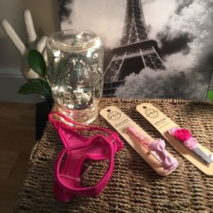 NWT Kitten Bundle (2)Collars+Harness!